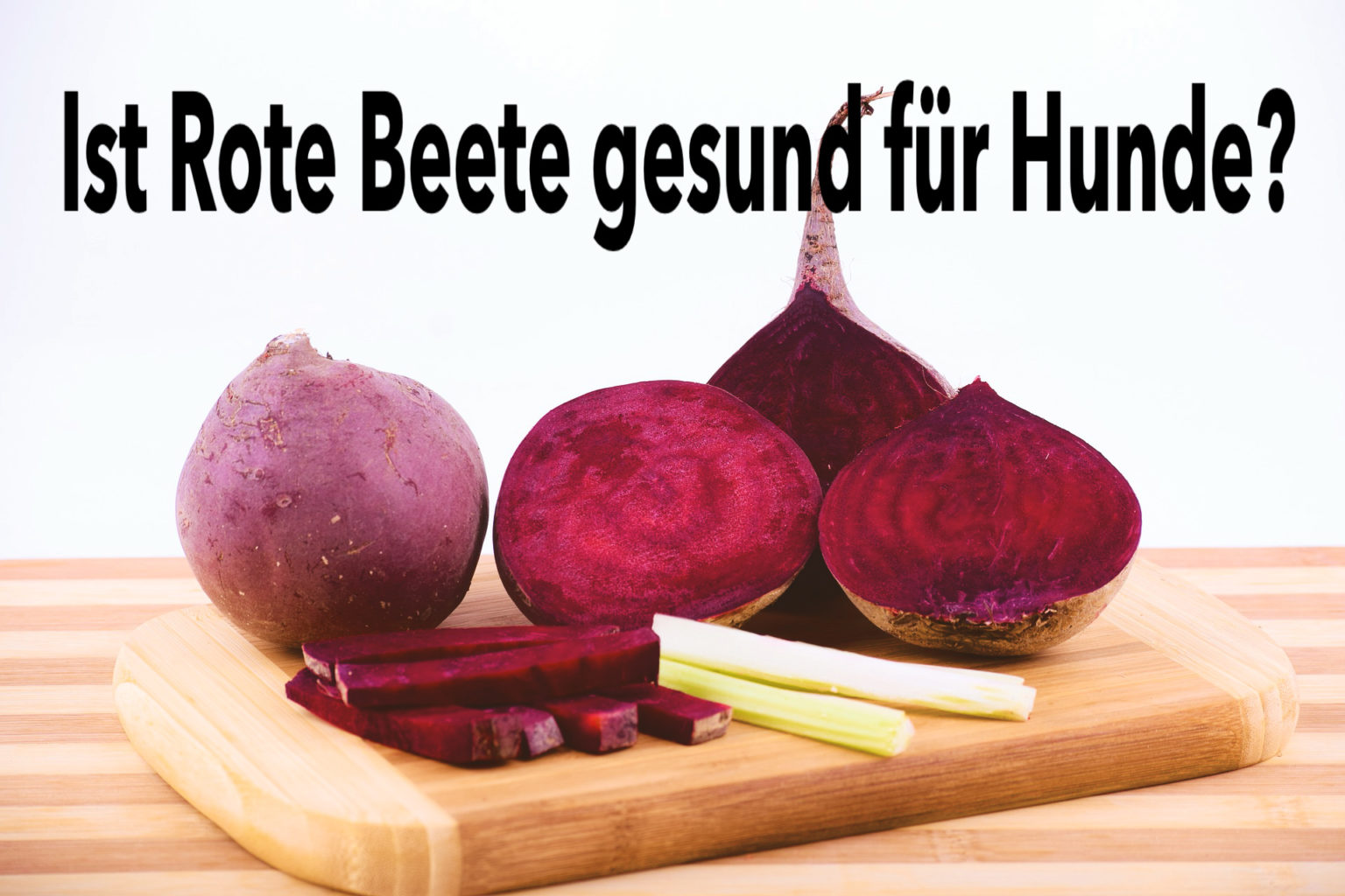 Dürfen Hunde Rote Beete essen? (Finde es jetzt heraus)