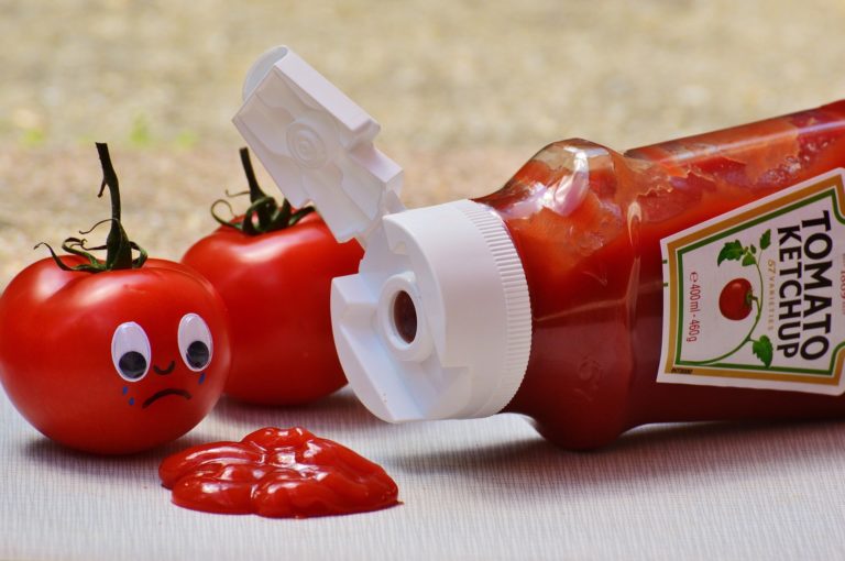 dürfen hunde ketchup essen