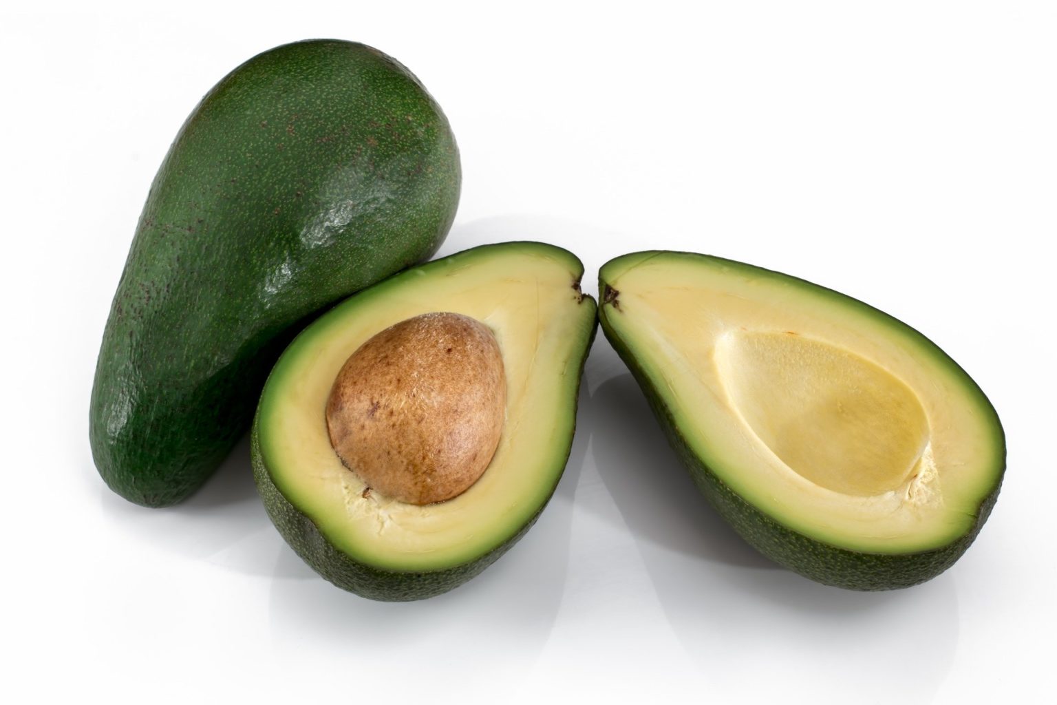 avocado für hunde