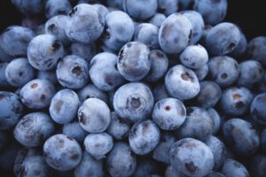 Dürfen Hunde Blaubeeren essen