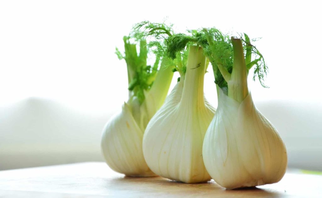 Dürfen Hunde Fenchel essen? (Finde es jetzt heraus)