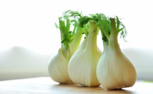 dürfen hunde fenchel essen