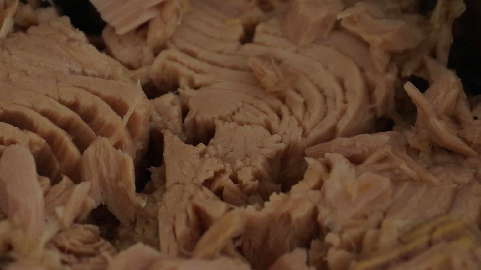 Dürfen Hunde Thunfisch aus der Dose essen? (Ja, oder Nein?)