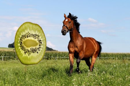 Dürfen Pferde Kiwi essen