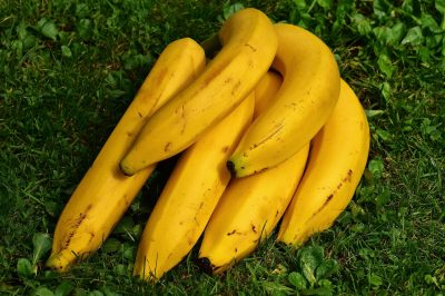 dürfen wellensittiche bananen essen