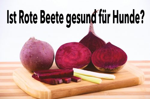 Dürfen Hunde Rote Beete essen