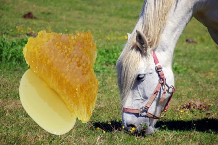 dürfen pferde honig essen